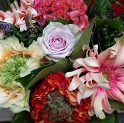 Bloemen Anthos bvba