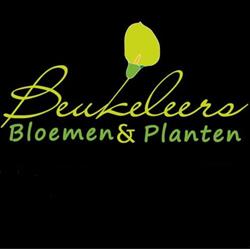 Bloemen Beukeleers Kristel