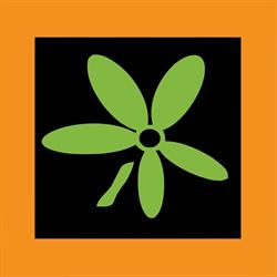 Bloemen fiori