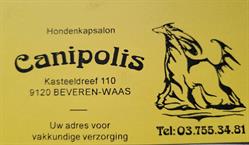 Canipolis