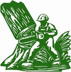 Bomen Beterams bv