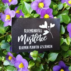 Bloemen Mistletoe