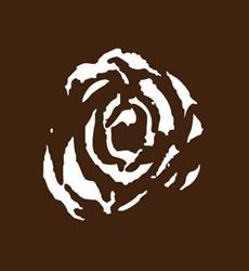 Bloemen Rosa bloemen Rosa