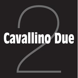 Cavallino bvba