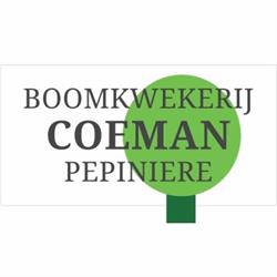 Coeman Alain, Boomkwekerij