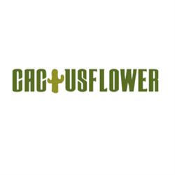 Cactusflower