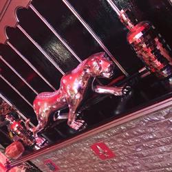 Club Jaguar 2