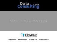 Data Consulting