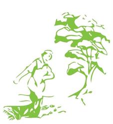 Espaces Verts Masse & Fils SA