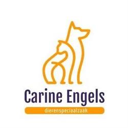 Engels carine