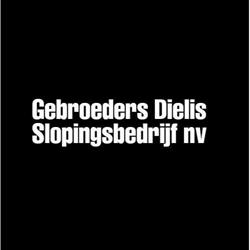 Gebroeders Dielis Slopingsbedrijf