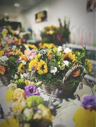 Tuincentrum Goessens Erpe-Mere