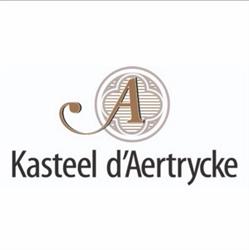 Kasteel d'aertrycke
