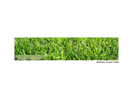 Website van Induma Bcs BVBA 
