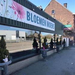 Moens BVBA