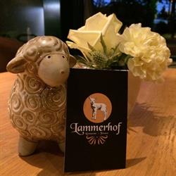 Lammerhof BVBA