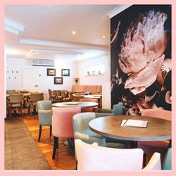 Ijssalon Milise