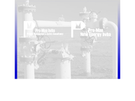 Website van Pro-Man BVBA 
