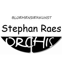 Orchis-Raes Stephan