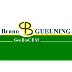 Geobiocem-Bruno Gueuning