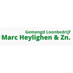 Marc Heylighen & Zn