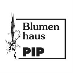 Blumenhaus A Pip