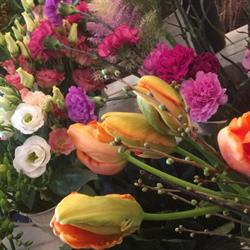Bloemen Sas