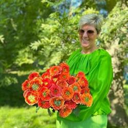 De Eeuwige Lente