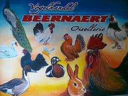 Vogelhandel Beernaert