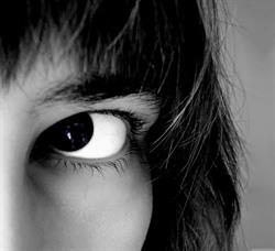 Fabrik Optik