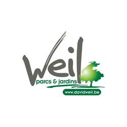 Weil David
