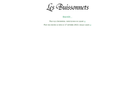 Buissonnets