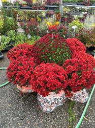 Au Jardin de Georges SPRL