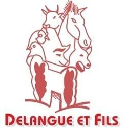 Delangue & Fils SPRL