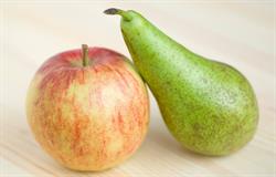 Steffi-Fruit
