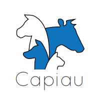 Capiau marc