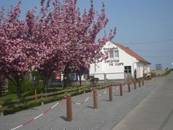 Restaurant Bachten De Kupe