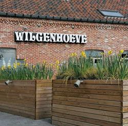 Wilgenhoeve