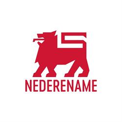 Ad Delhaize