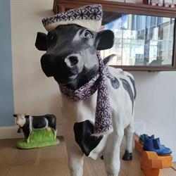 Bonte Koe