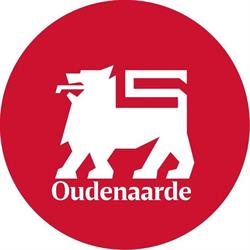 Delhaize Groep nv