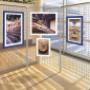 Grilles d'exposition Economiques