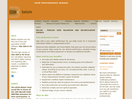 Website van Belsim 