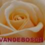 # 1