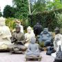 Buddhatuin