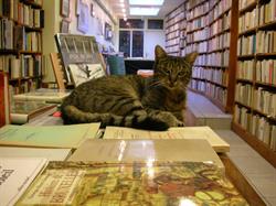 Librairie l'Oiseau-Lire