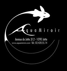 Aquamiroir