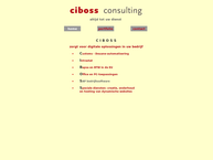 Ciboss Consulting VOF