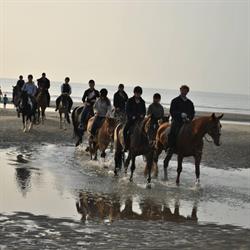 Manege Sanders