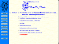 Ets Libioulle M